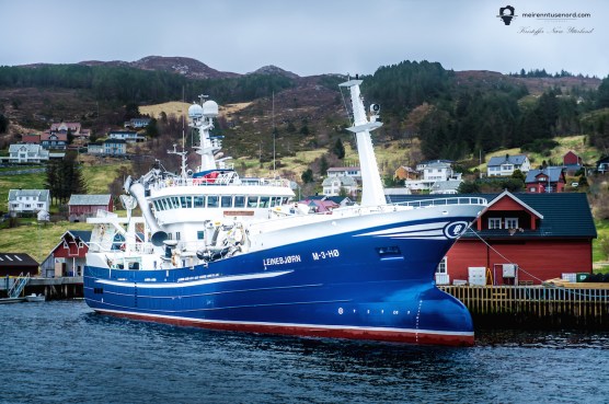 forsidebildenynettsidee2